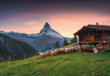 The Best Viewpoints of the Matterhorn: Where to Go Best Viewpoints of the Matterhorn