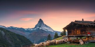 The Best Viewpoints of the Matterhorn: Where to Go Best Viewpoints of the Matterhorn