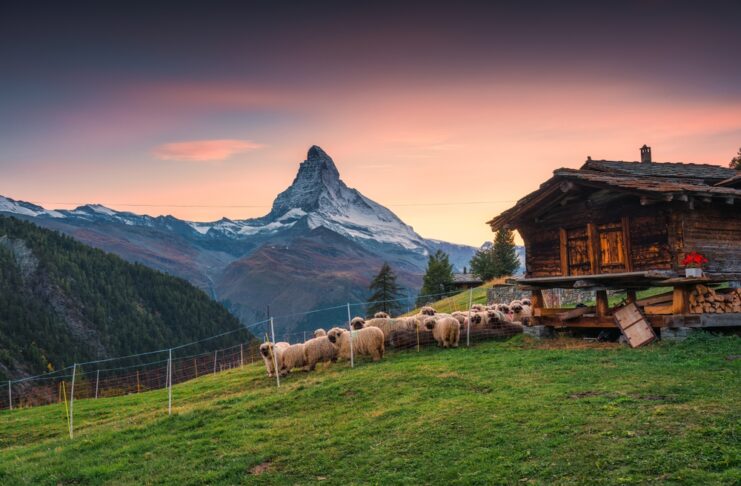 The Best Viewpoints of the Matterhorn: Where to Go Best Viewpoints of the Matterhorn